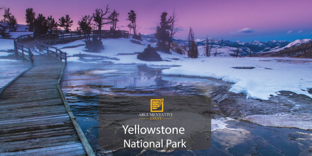 Preserving Yellowstone’s Winter Wilderness Free Essay